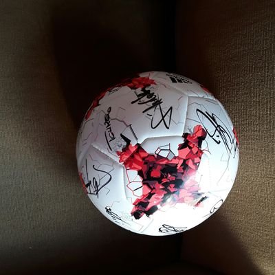 lavara77's profile picture. lavanda planta