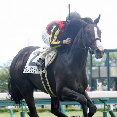 中央競馬メインレース(重賞･OP)の馬券が中心です｡
馬券は三連複か三連単､たまにワイドも😅
2017年ヴィクトリアマイル三連複123,870円的中🎯
応援馬はダンビュライト｡無言フォロー失礼します🙇
平日休みはパチ屋へ🎰(イチパチ)
最近は地方競馬も(大井･船橋･川崎･浦和のみ)