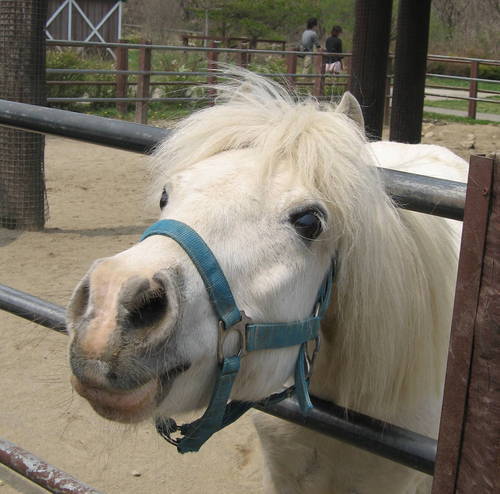 kj_waki's profile picture. 2025N