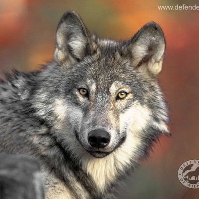 LisaBro53314887's profile picture. Entertainment Movies Television Music News