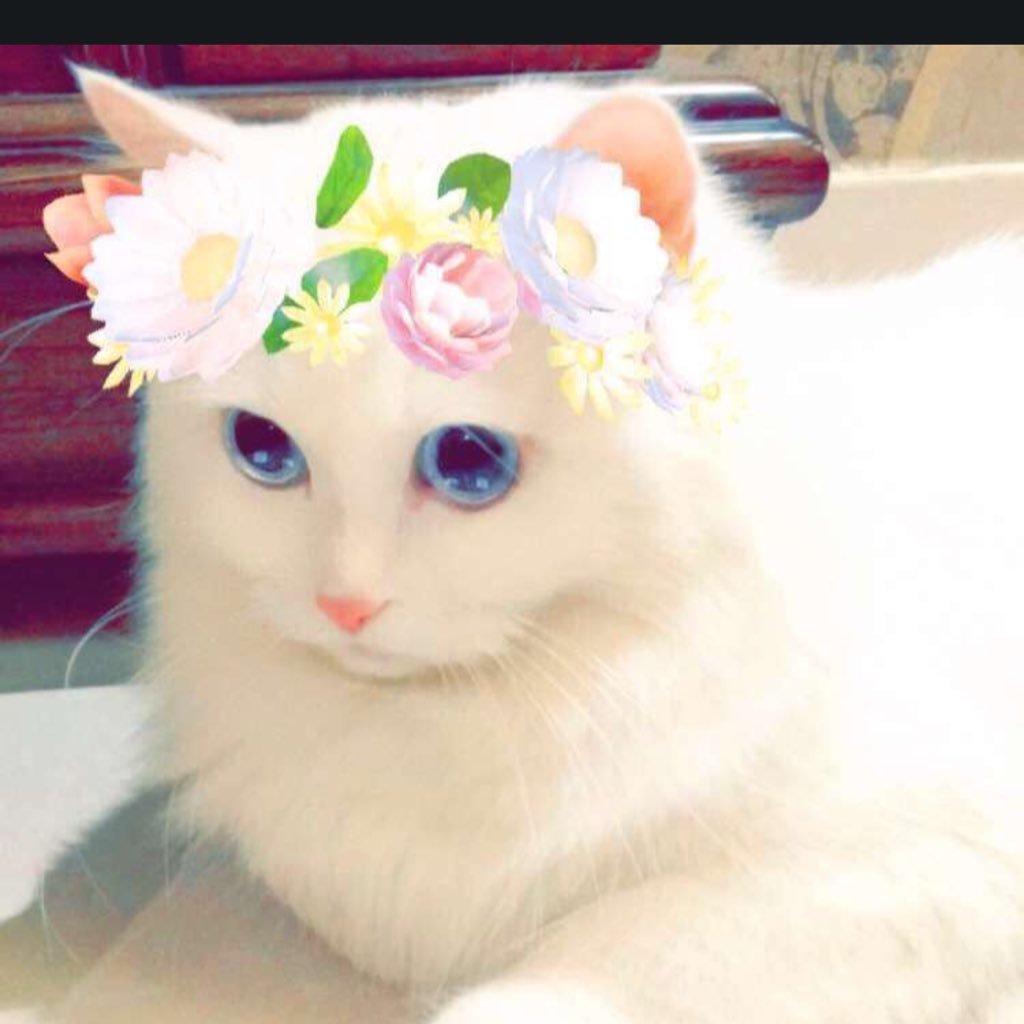 horalbadri's profile picture. أناقة لسانك هي ترجمة لـ أناقة أفكارك ، فلا ترفع صوتك ! بل ارفع مستوى كلماتك ツ اعشق الملكه احلام ••حلووميه وافتخر.