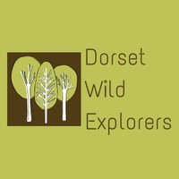 DorsetWildExplorers(@dorsetwildexpl) 's Twitter Profile Photo