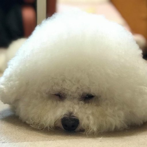 KuongFai's profile picture. 