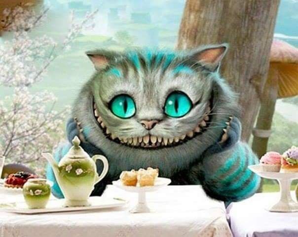 LanaYehia's profile picture. 