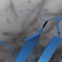 RadfordLab (@radfordlab) 's Twitter Profile Photo RadfordLab (@radfordlab) 's Twitter Profile Photo