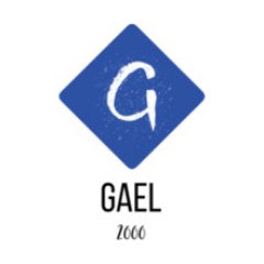 Gael 2000 Consultores