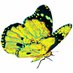 Butterflies Band (@butterfliesban1) Twitter profile photo Butterflies Band (@butterfliesban1) Twitter profile photo