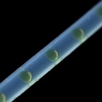 Microfluidics for Analytical Chemistry (@microanalytchem) 's Twitter Profile