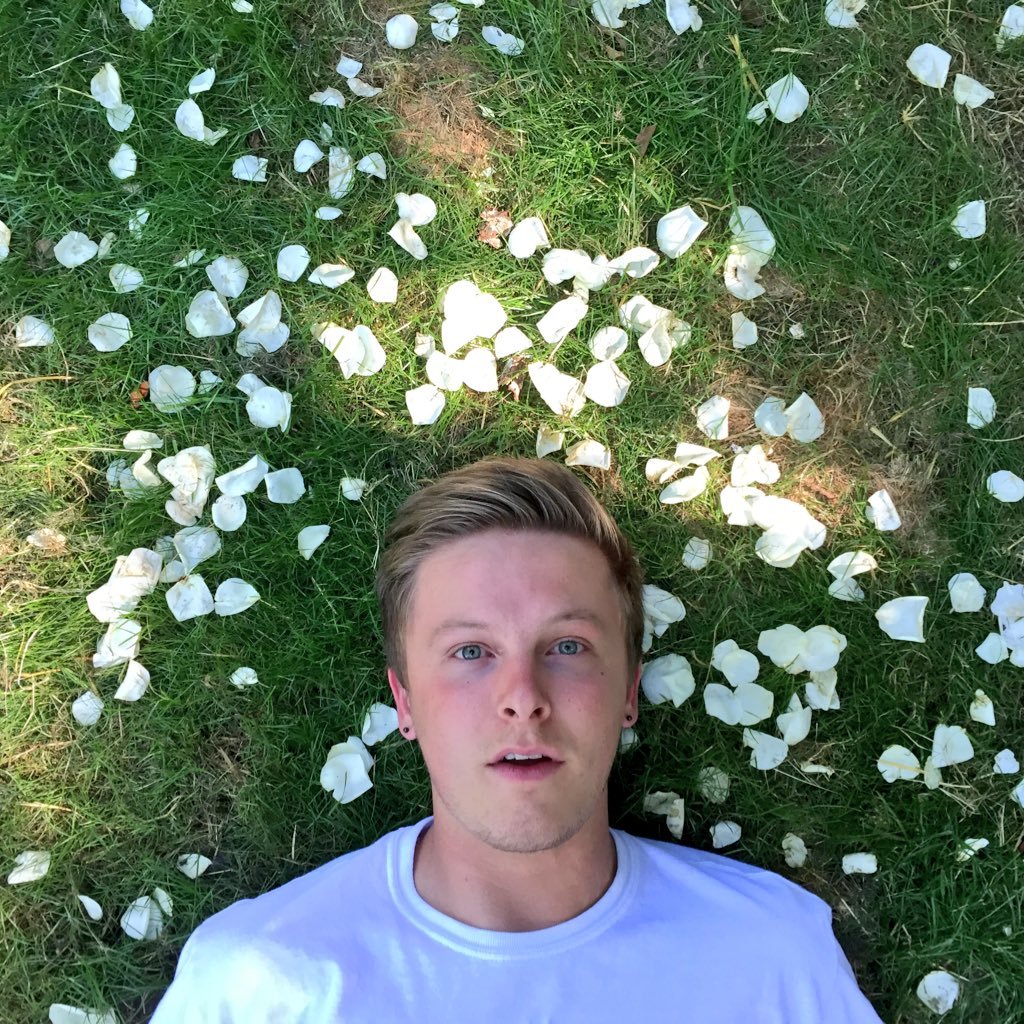 corndogzebra's profile picture. he/they