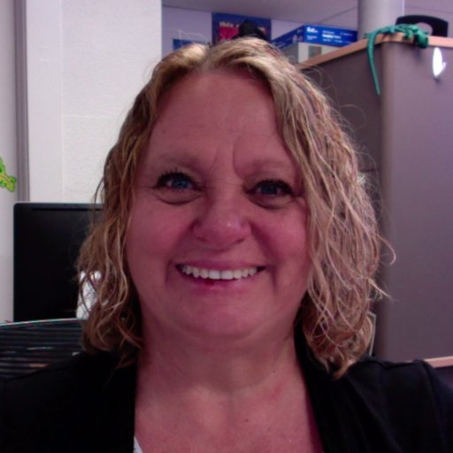 I am the Technology Integration Coach for the Cottonwood-Oak Creek School District. My mission is to help teachers put technology into the hands of students.