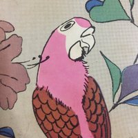 おとなのたき (@taki_makes) 's Twitter Profile
