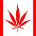 Cannabis Watch + you (@cannabis_watch) Twitter profile photo Cannabis Watch + you (@cannabis_watch) Twitter profile photo