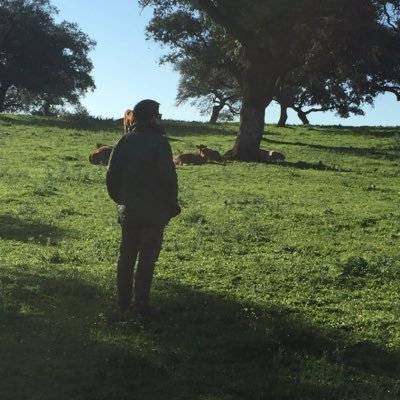 jcgarciam07's profile picture. 