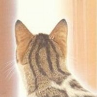 sou (@ino_sou) 's Twitter Profile Photo