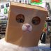 finoogles (@finoogle) Twitter profile photo finoogles (@finoogle) Twitter profile photo