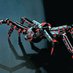 SpiderEquipment (@spiderequipment) Twitter profile photo SpiderEquipment (@spiderequipment) Twitter profile photo