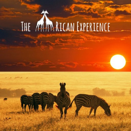Sharing beautiful pictures of the African bushveld. It's a place like no other. #TheAfricanExperience. 🐘🐒🐯🦁🦅🐗🦉🐍🐢🐆🦏🐾.