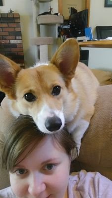 jwhittin1510's profile picture. Just a dirty liberal. And a dog.