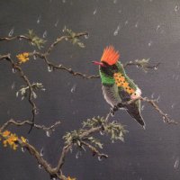 BeckyCMD (@becky_cmd) 's Twitter Profile