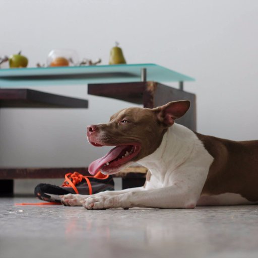 rjbts's profile picture. CISSP.  Cibersecurity professional. CCNP.