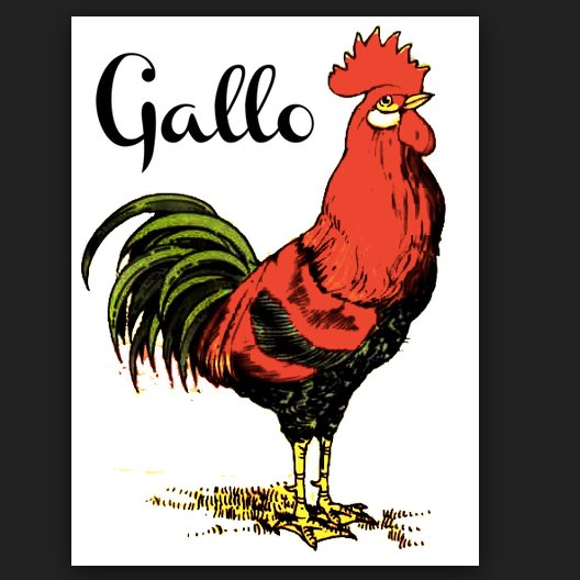 ElGallillolopez's profile picture. #SIGUEMEYTESIGO   😀