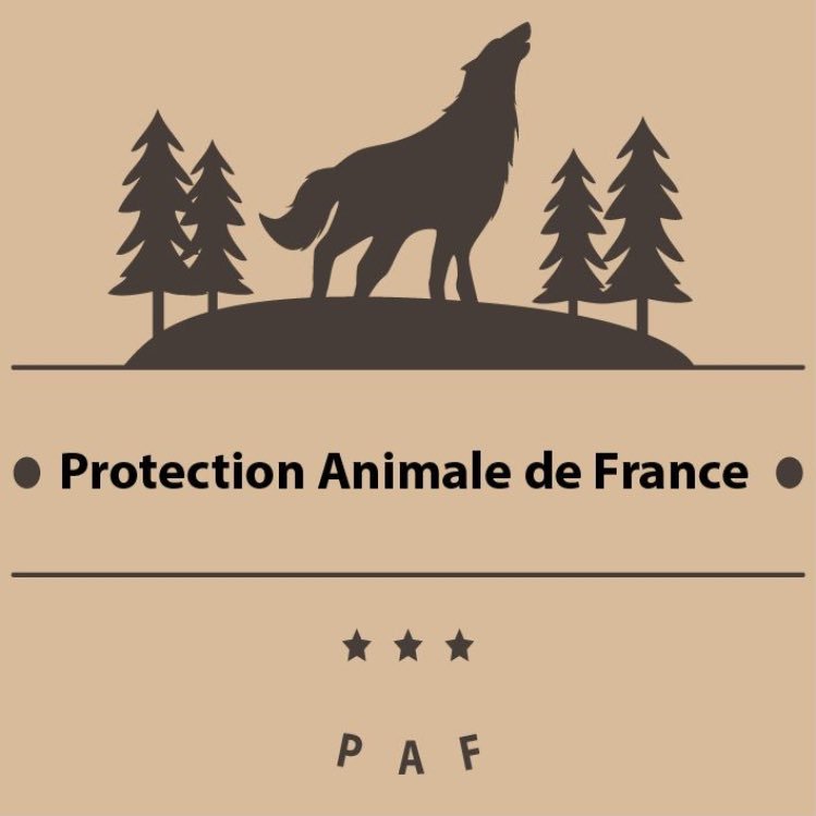 PROTECTION ANIMALE DE FRANCE • Pour la défense des animaux • Les conditions des animaux dans les cirques • La Défense de Kiwi et Dominique au zoo de Dunkerque.