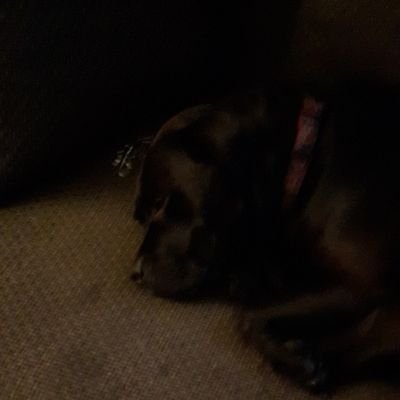 Profile Picture of M.O.B. BADAZZ (@chris_moubray) on Twitter