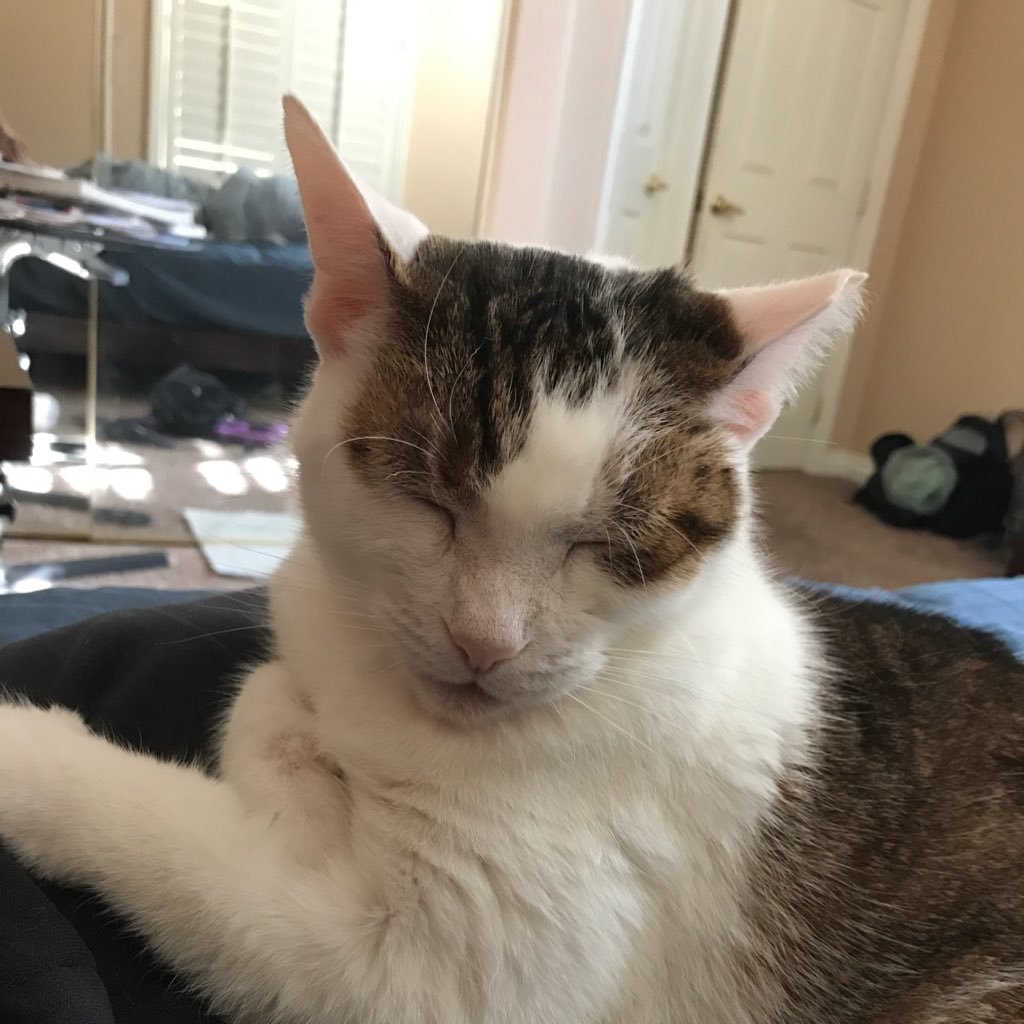 josh_tunick's profile picture. 