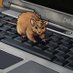 Neil Sharpson (@unshavedmouse) Twitter profile photo Neil Sharpson (@unshavedmouse) Twitter profile photo