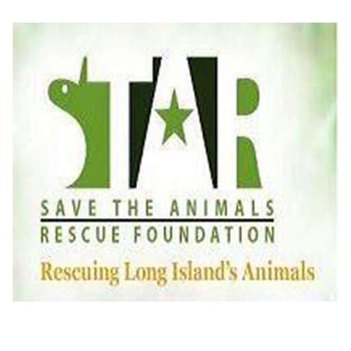 STAR is Long Island NY's largest 100% all #volunteer non-profit #animal rehabilitation group providing care for injured and orphaned #wildlife & exotic #pets