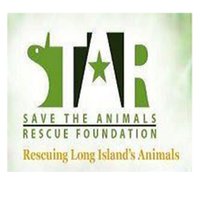 STAR (Save The Animals Rescue) Foundation(@STAR_Fdn) 's Twitter Profile Photo