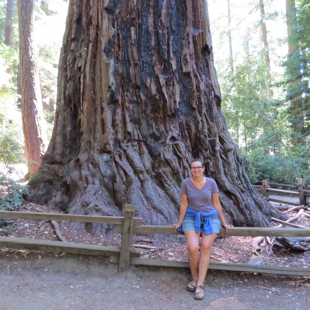 Practicing scientist, tree lover, PhD, tweets = mine
she/her