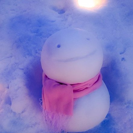 冬を彩るイベント「小樽・余市ゆき物語」が今年も11月1日から始まります。#青の運河 #琥珀色の夢 #ワイングラスタワー #ガラスアートギャラリー #重ね押しスタンプラリー  #冬のマリアージュ #yukino_sumika　#ナイトランタンウォーキング