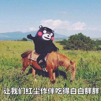 zn666888's profile picture. 
