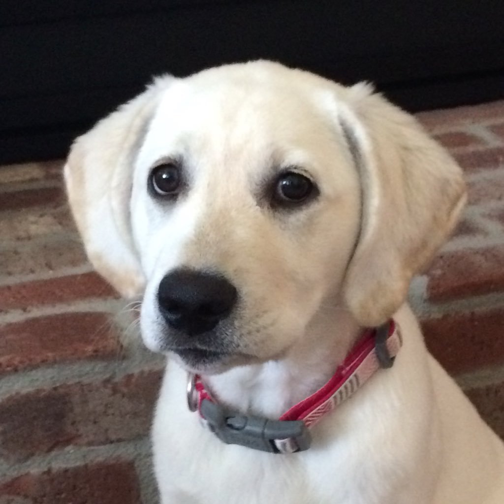 Jonah_flem1's profile picture. 