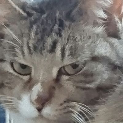 高龗さんのプロフィール画像