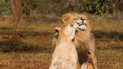 Oleg24012's profile picture. 