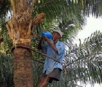 justice24736's profile picture. 