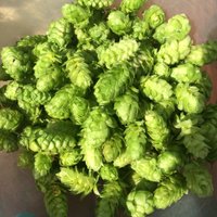 Colin (@collybolton) 's Twitter Profile Photo