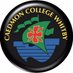 caedmon college (@caedmon_college) Twitter profile photo caedmon college (@caedmon_college) Twitter profile photo