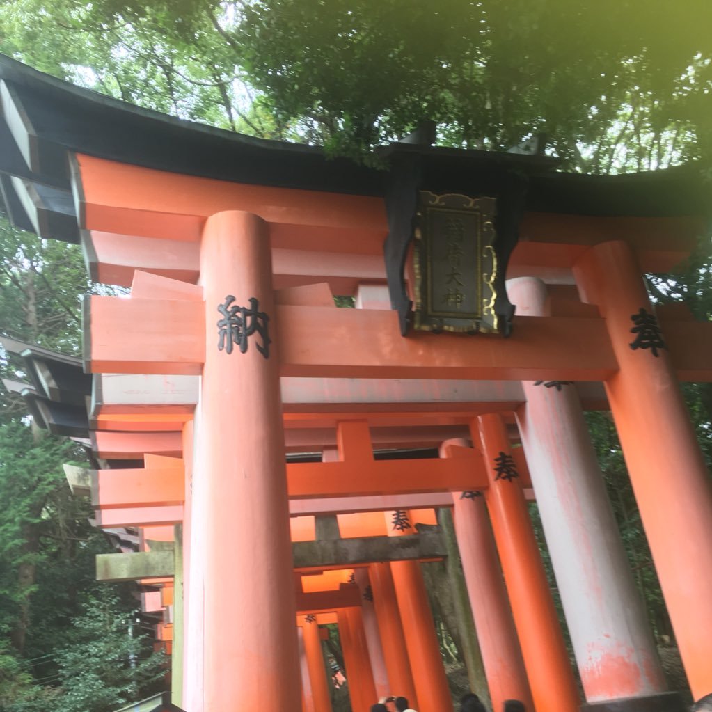 3KenF861Buj4MnI's profile picture. 大学垢作りました！ 無言フォローすいません。 四月から東海大学生命科学科入ります！ 気軽にフォローお願いしますm(_ _)m