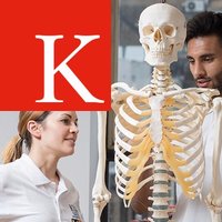 King's Physiotherapy(@Physio_KCL) 's Twitter Profileg