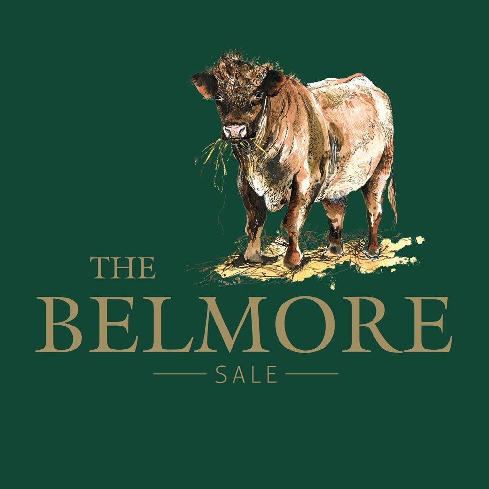 @belmoreatsale