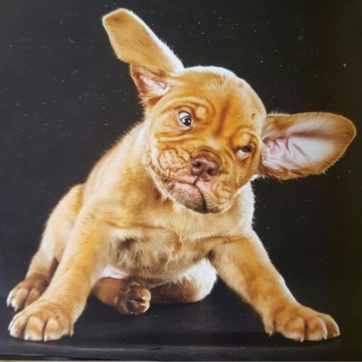 jjjr_jr's profile picture. 