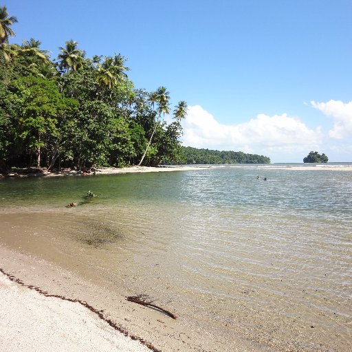 twituscarolus's profile picture. 