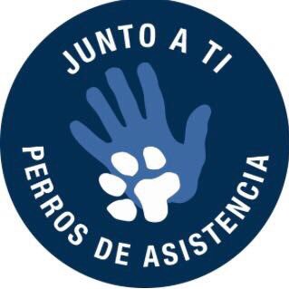 Trabajamos para conectar a las personas. Nuestra especialidad son los perros de asistencia para niños con autismo y las terapias asistidas con animales.