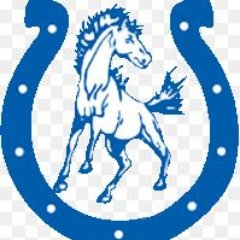 MeadowfieldElem's profile picture. Meadowfield Elementary is the only Paideia Model School in SC and home to the Mustangs!