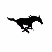 Mustang Athletics (@swsdmustangs) 's Twitter Profile