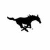 Mustang Athletics (@swsdmustangs) Twitter profile photo Mustang Athletics (@swsdmustangs) Twitter profile photo