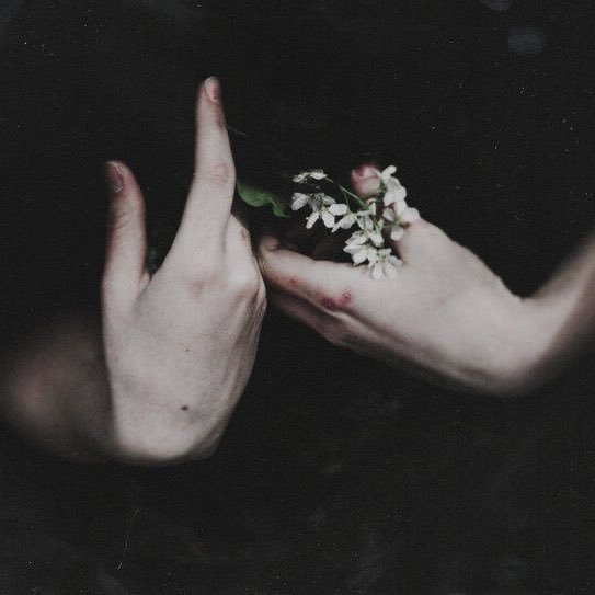 — most of them don’t even know that they’re there. until it’s too late. there’s celebrity without dangers. but what if the danger looks identical to them?